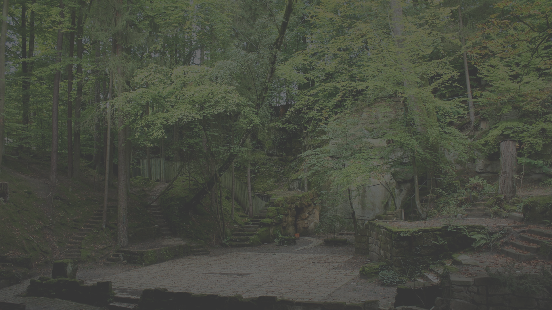 images/slider/Gruppe